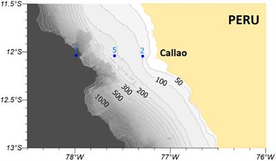 Dissolved Organic Matter Cycling in the Coastal Upwelling System Off Central Peru During an “El Niño” Year